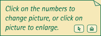 Slideshow Info